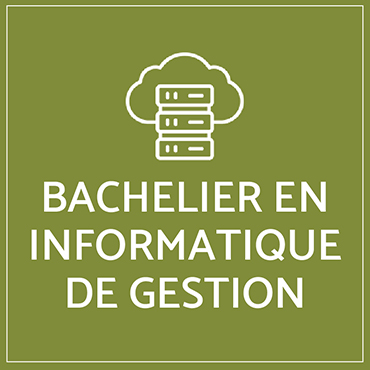 bachelier en informatique de gestion